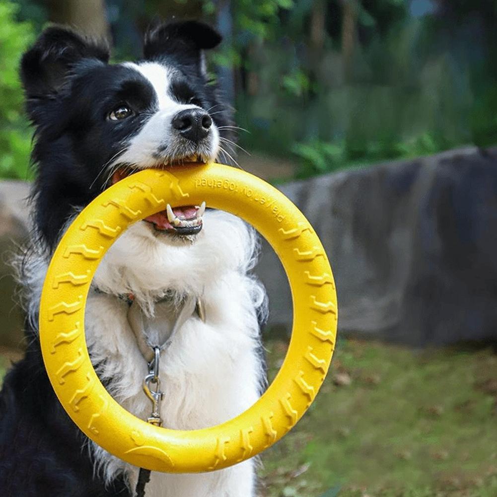 Indestructible Dog Chew Toy - Jouets pour chiens en forme d'anneau,