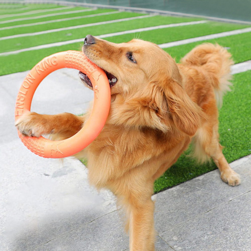 Anneau d'entraînement pour chi - Indestructible Dog Chew Toy avis et prix