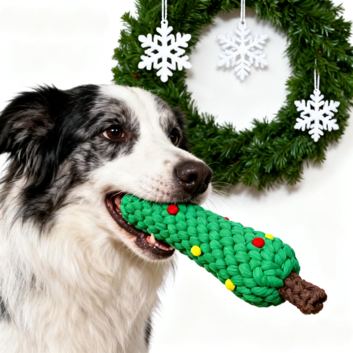 Jouets à mâcher pour chiens en - Teeth Cleaning Dog Chew Bone avis et prix
